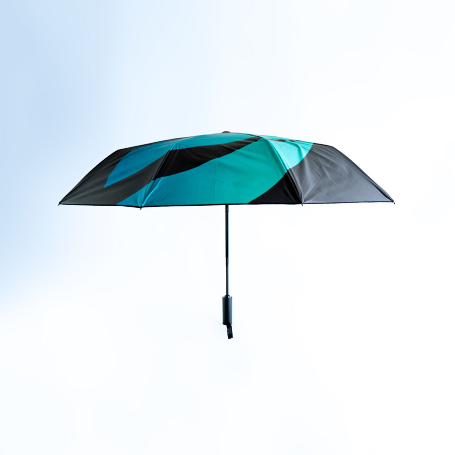 Bitfinex umbrella